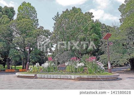 東京都光丘公園（板橋/練馬） 141580028