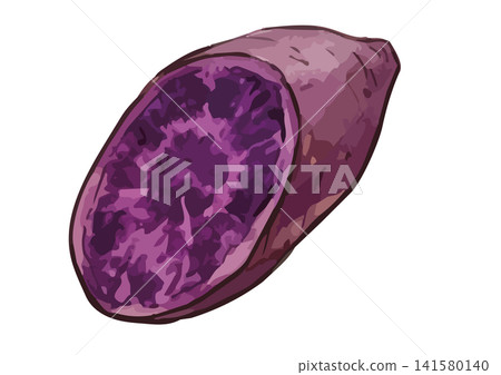 A mouthwatering illustration of purple sweet potato A mouthwatering illustration of purple sweet potato 141580140