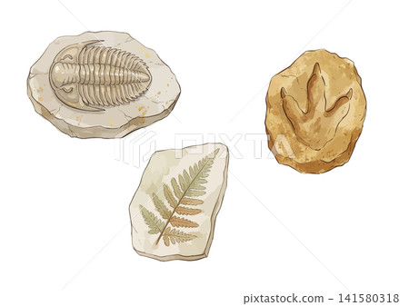 A mouthwatering illustration of a fossil 141580318