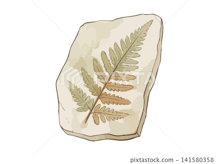 A mouthwatering illustration of a fossil (fern). 141580358