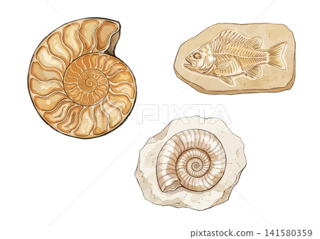 A mouthwatering illustration of a fossil 141580359
