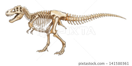 栩栩如生的化石插圖(霸王龍) 栩栩如生的化石插圖(霸王龍) 141580361