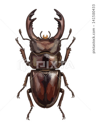 A mouthwatering illustration of a rhinoceros beetle or stag beetle. A mouthwatering illustration of a rhinoceros beetle or stag beetle. 141580433