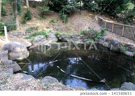泉中央公園、泉小次郎傳說遺址、小次郎洗馬池 泉中央公園、泉小次郎傳說遺址、小次郎洗馬池 141580651
