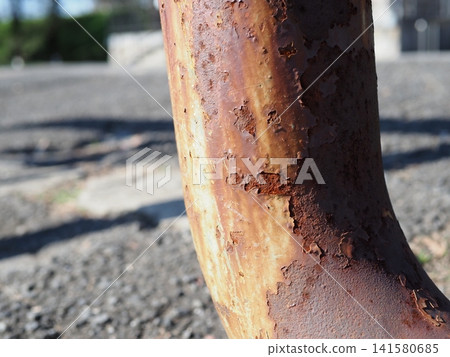 The art of rust; rust; the rise and fall of metals; texture; background; copy space. The art of rust; rust; the rise and fall of metals; texture; background; copy space. 141580685
