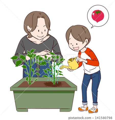 一位家長和孩子正在種植櫻桃番茄 一位家長和孩子正在種植櫻桃番茄 141580798