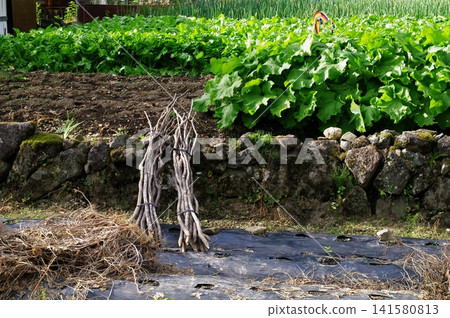 In the Atanogo and Hiwada districts of Takane-cho, Takayama City, autumn is arriving and preparations for winter are underway. In the Atanogo and Hiwada districts of Takane-cho, Takayama City, autumn is arriving and preparations for winter are underway. 141580813