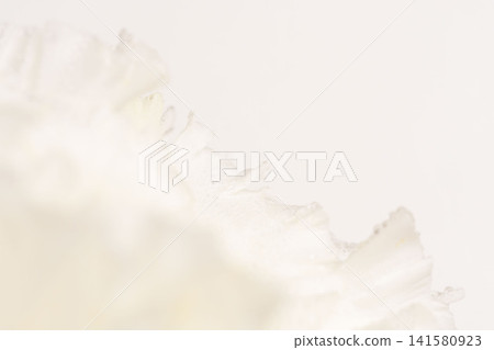 白色背景上的白色洋桔梗花微距攝影(148mm) 白色背景上的白色洋桔梗花微距攝影(148mm) 141580923