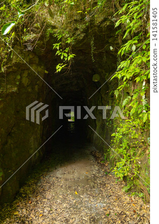 A scenic spot in Kobayashi City, Miyazaki Prefecture, known for its 11 consecutive tunnels, featuring views of Sannomiya Gorge. A scenic spot in Kobayashi City, Miyazaki Prefecture, known for its 11 consecutive tunnels, featuring views of Sannomiya Gorge. 141581405