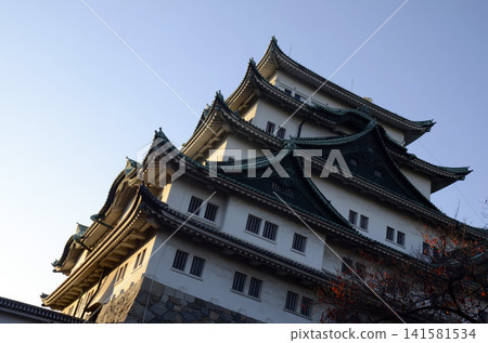Nagoya Castle Nagoya Castle 141581534