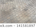 Background image of a cobblestone street with sunlight filtering through the trees. 141581897