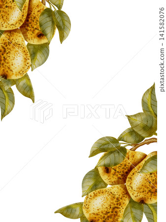 Hand painted watercolor frame featuring whole pears and slices. Perfect for elegant invitations, cosmetic labels, food packaging, textile prints, and menus. Hand painted watercolor frame featuring whole pears and slices. Perfect for elegant invitations, cosmetic labels, food packaging, textile prints, and menus. 141582076