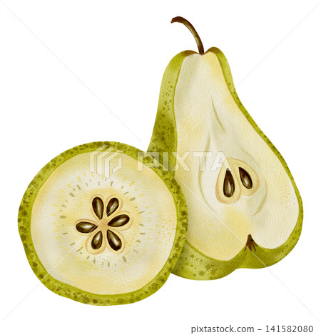 A hand-painted watercolor composition featuring yellow pears adorned with white flowers and leaves. Perfect for elegant packaging, textiles, cards, and labels. A hand-painted watercolor composition featuring yellow pears adorned with white flowers and leaves. Perfect for elegant packaging, textiles, cards, and labels. 141582080