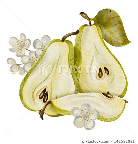 A hand-painted watercolor composition featuring yellow pears adorned with white flowers and leaves. Perfect for elegant packaging, textiles, cards, and labels. A hand-painted watercolor composition featuring yellow pears adorned with white flowers and leaves. Perfect for elegant packaging, textiles, cards, and labels. 141582081