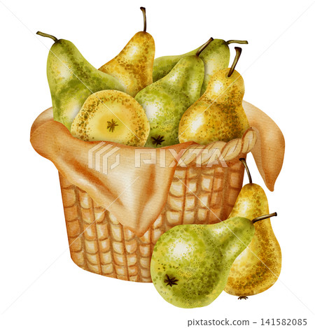 Hand-drawn watercolor illustration of a wicker basket filled with pears Hand-drawn watercolor illustration of a wicker basket filled with pears 141582085