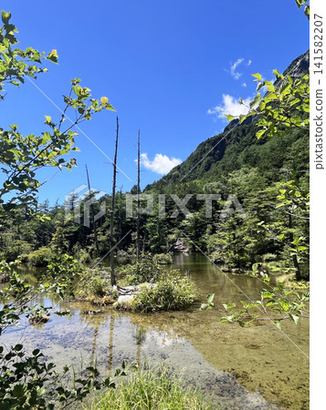 明神池,第二池,第三部分 明神池,第二池,第三部分 141582207