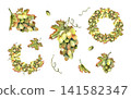 White grapes compositions watercolor set. Hand drawn illustration isolated from background. Green bunches, vine leaves, tendrils, berries. For autumn harvest festivals, winery branding design 141582347
