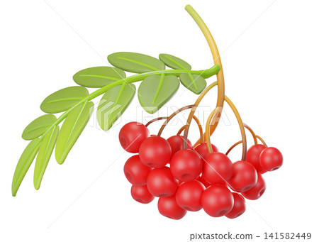 3D rowan berry branch with red berries, green leaves, isolated on background. Botanical illustration for autumn design, nature, seasonal decoration. 3d render 3D rowan berry branch with red berries, green leaves, isolated on background. Botanical illustration for autumn design, nature, seasonal decoration. 3d render 141582449
