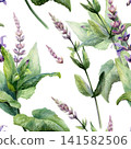 Clary sage seamless pattern watercolor illustration. Salvia medicinal herb for aromatherapy pharmacy branding, stress relief oil packaging, organic antiaging cosmetics design, wellness print 141582506