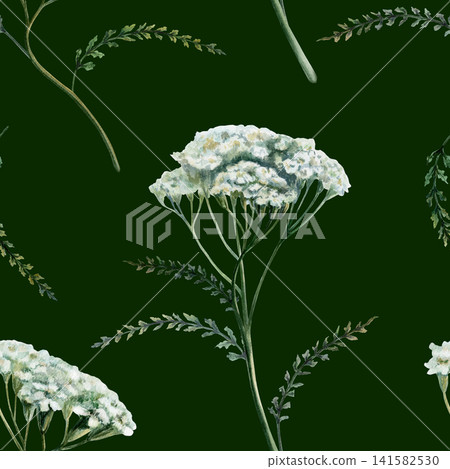 Yarrow seamless pattern watercolor illustration on dark background. Achillea medicinal herb for premium men grooming packaging, organic detox cosmetics branding, luxury herbal elixir bottle print Yarrow seamless pattern watercolor illustration on dark background. Achillea medicinal herb for premium men grooming packaging, organic detox cosmetics branding, luxury herbal elixir bottle print 141582530