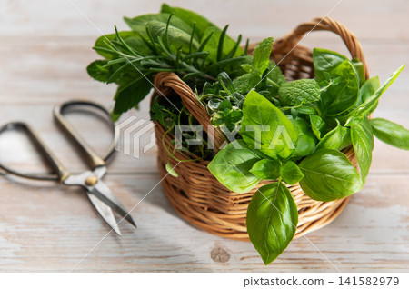 Fresh herbs harvest in basket with garden scissors Fresh herbs harvest in basket with garden scissors 141582979