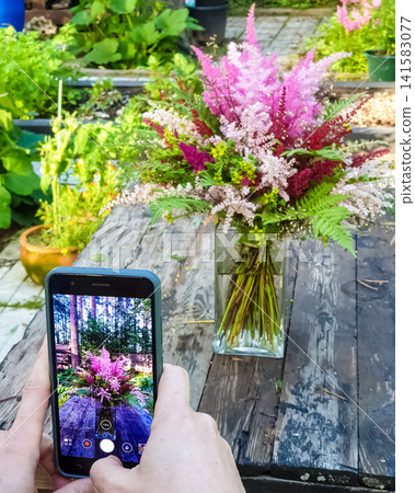 Person photographing astilbe flower bouquet in glass vase with smartphone in summer garden Person photographing astilbe flower bouquet in glass vase with smartphone in summer garden 141583077