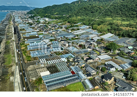 空拍照片展現了靜岡市久能地區的沿海農田和溫室。 空拍照片展現了靜岡市久能地區的沿海農田和溫室。 141583774