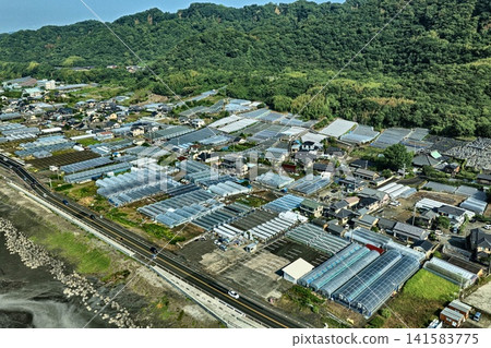 Aerial photograph of greenhouses and farmland spread along the coast of Shizuoka City. Aerial photograph of greenhouses and farmland spread along the coast of Shizuoka City. 141583775