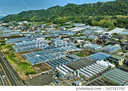 拍攝靜岡市鄉村地區和溫室的空拍照片。 141583792