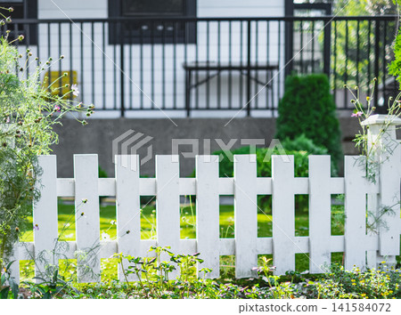 Garden with lush plants and white wooden fence. White picket fence around the garden Garden with lush plants and white wooden fence. White picket fence around the garden 141584072
