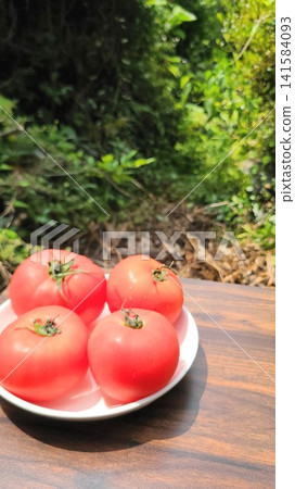 新鮮成熟的夏季番茄在自然背景下格外醒目。 新鮮成熟的夏季番茄在自然背景下格外醒目。 141584093