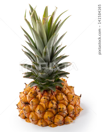鳳梨 水果 熱帶 去背 裁剪路徑 fresh pineapple fruit パイナップル 鳳梨 水果 熱帶 去背 裁剪路徑 fresh pineapple fruit パイナップル 141584165
