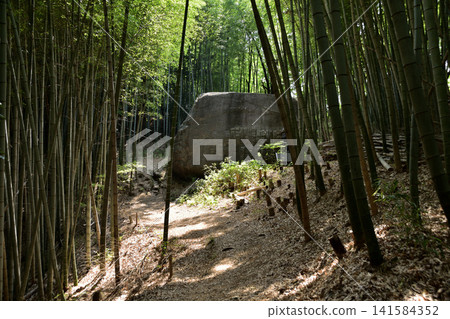 奈良飛鳥/增田岩船 奈良飛鳥/增田岩船 141584352