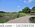 Nara Asuka - Asuka Palace Site 141584356
