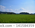 Rural landscape of Oka district in Asuka Village, Nara Prefecture, and the hills of Itabuki Shrine 141584359