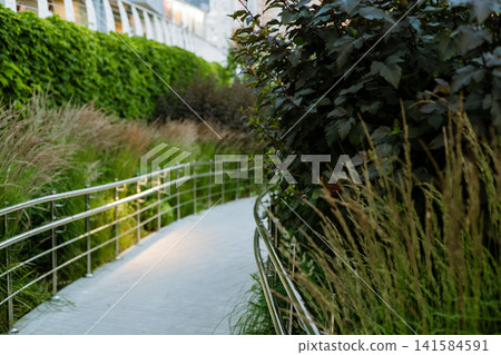 Curving landscaped pedestrian pathway with ornamental grasses and lush greenery showcasing contemporary urban landscape and sustainable item. Curving landscaped pedestrian pathway with ornamental grasses and lush greenery showcasing contemporary urban landscape and sustainable item. 141584591
