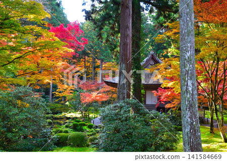 秋天,京都,大原,三千院 秋天,京都,大原,三千院 141584669