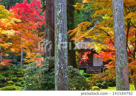 Autumn, Kyoto, Ohara, Sanzen-in Temple Autumn, Kyoto, Ohara, Sanzen-in Temple 141584792