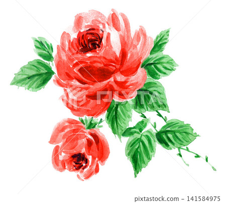 Orange-red rose painted in watercolor (26728 pixels) Orange-red rose painted in watercolor (26728 pixels) 141584975