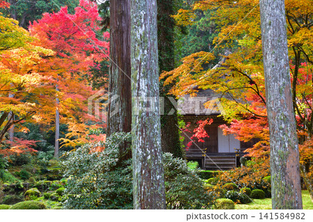 Autumn, Kyoto, Ohara, Sanzen-in Temple Autumn, Kyoto, Ohara, Sanzen-in Temple 141584982