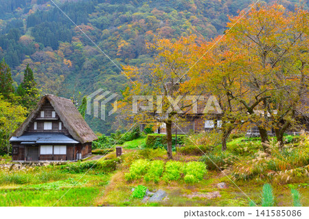 秋天的五簇山相倉合掌村 秋天的五簇山相倉合掌村 141585086