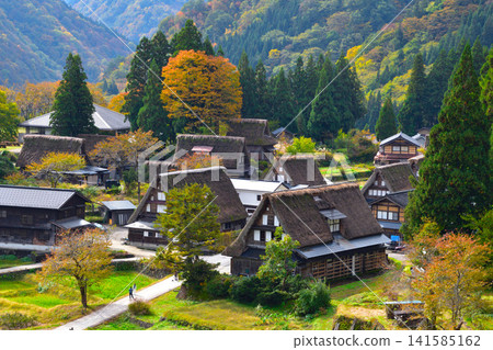 Autumn Gokayama Ainokura Gassho Village Autumn Gokayama Ainokura Gassho Village 141585162
