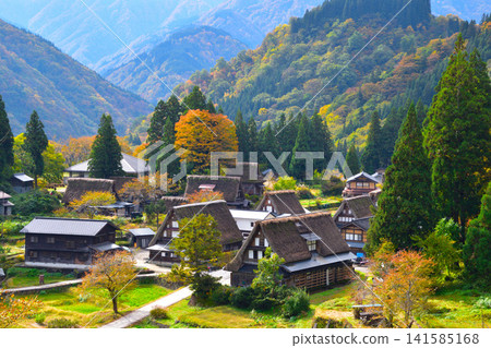 Autumn Gokayama Ainokura Gassho Village Autumn Gokayama Ainokura Gassho Village 141585168