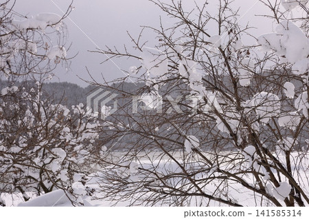 Winter snow scene Winter snow scene 141585314