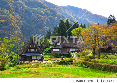 Autumn Gokayama Ainokura Gassho Village Autumn Gokayama Ainokura Gassho Village 141585338