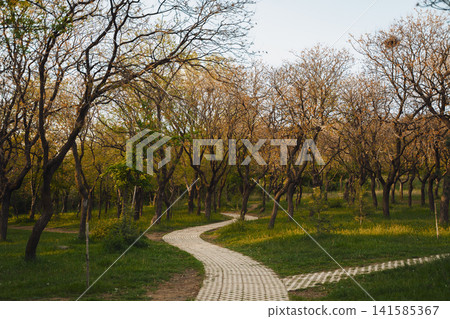 Walking path in Lisi Lake Green Zone in Tbilisi during spring 141585367