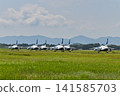 【靜岡】藍色衝擊波特技飛行表演隊來到了濱松空軍基地的航空公園。太酷了！ 141585703