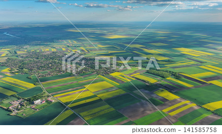 Agricultural fields with yellow rapeseed oil crops Agricultural fields with yellow rapeseed oil crops 141585758