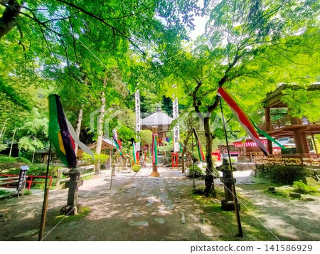 柳津國藏的初夏 柳津國藏的初夏 141586929