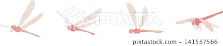 A watercolor illustration of a red dragonfly A watercolor illustration of a red dragonfly 141587566